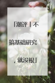 潮评丨不搞基础研究，就没根